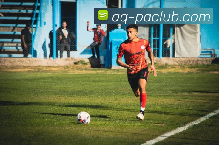 PA集团体育平台生态图