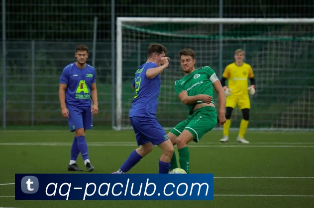 PA集团体育全站App